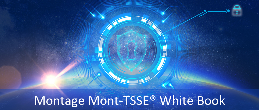 Mont-TSSE White Book